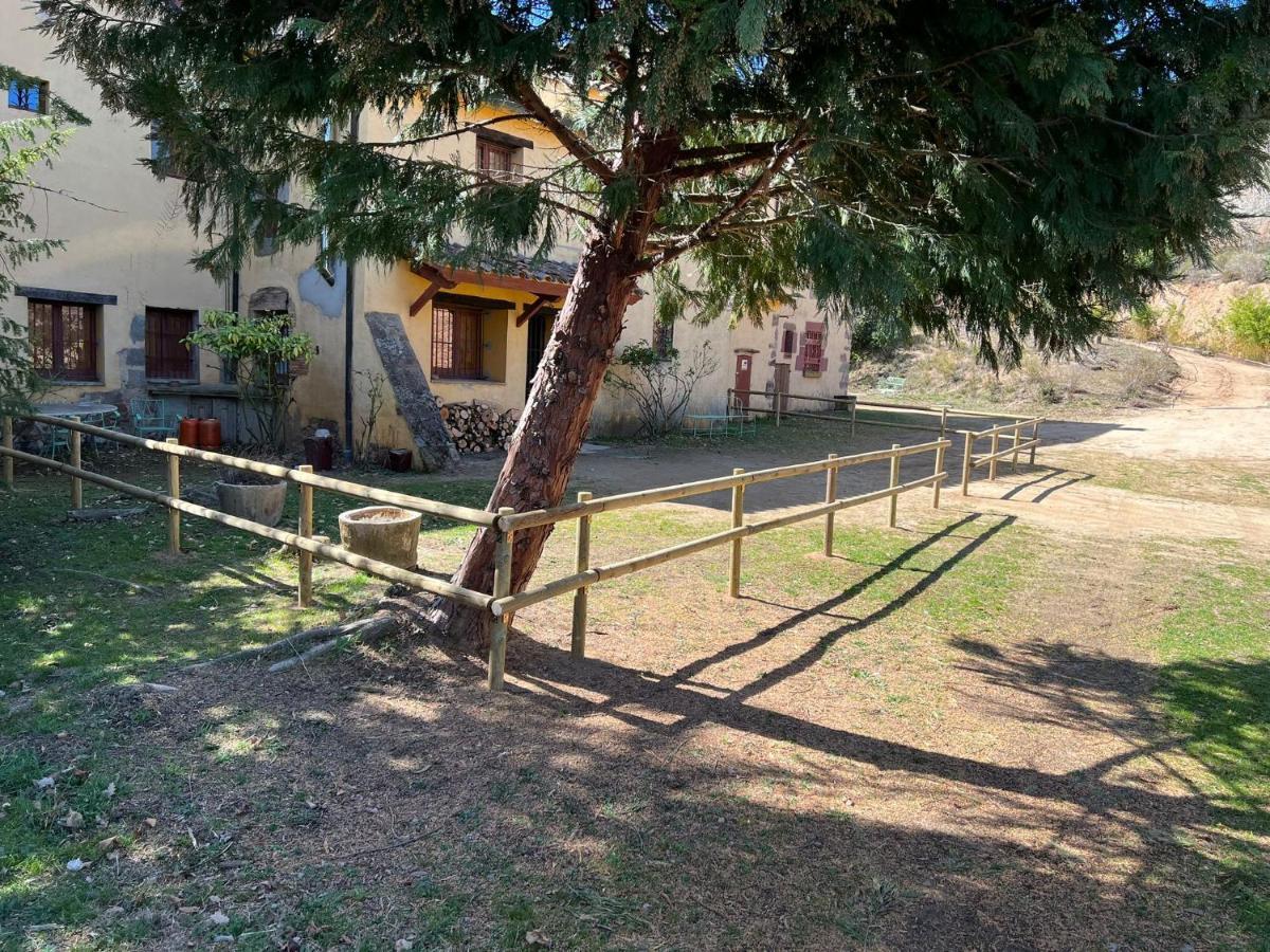 Ca L'Herbolari - Cozy Newly Renovated House Ca L'Herbolari Viladrau Esterno foto